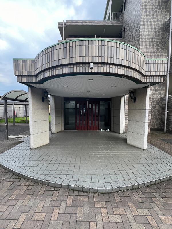 ドルフソニアドーロ   その他5