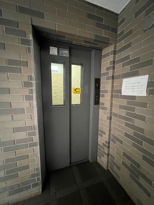 ドルフソニアドーロ   その他7