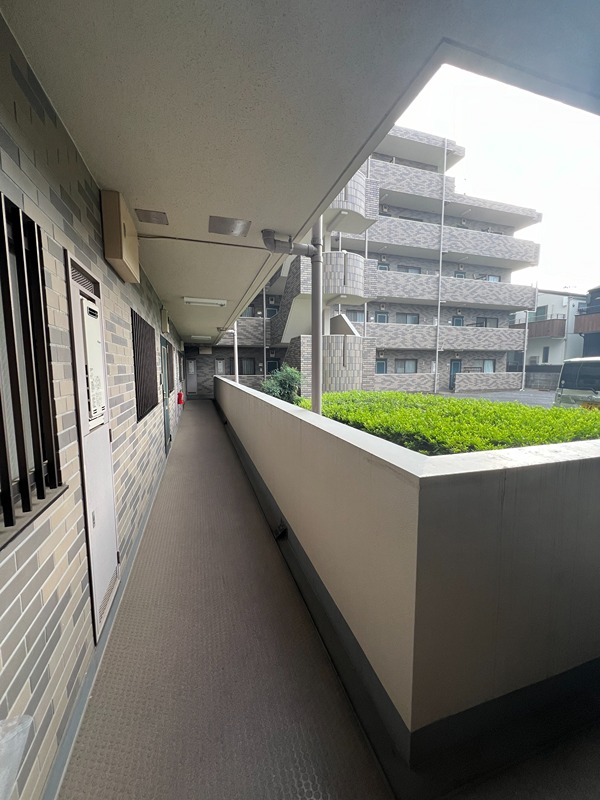 ドルフソニアドーロ   その他8