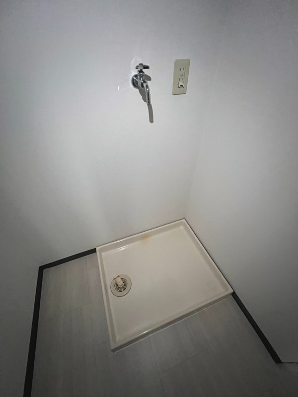 ドルフソニアドーロ   その他11