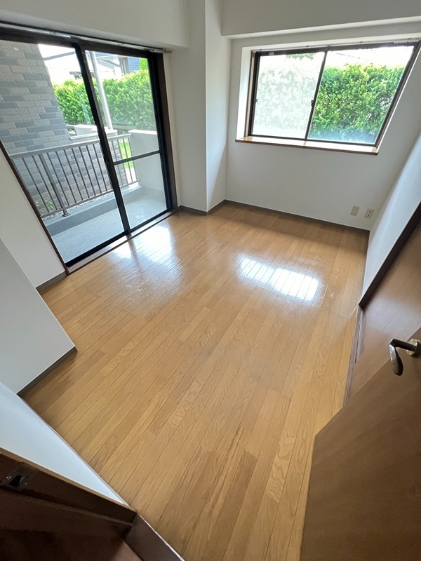 ドルフソニアドーロ   その他12