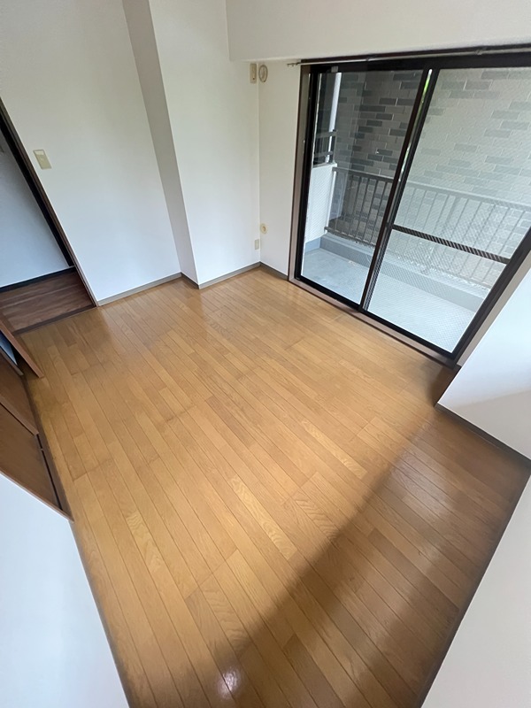 ドルフソニアドーロ   その他15