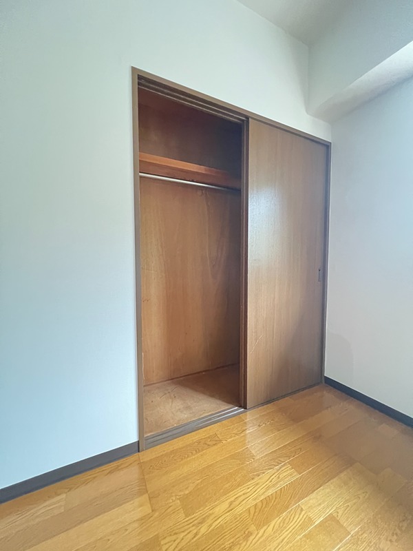 ドルフソニアドーロ   その他18