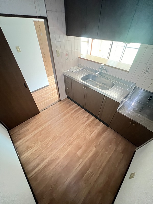 ドルフソニアドーロ   その他19