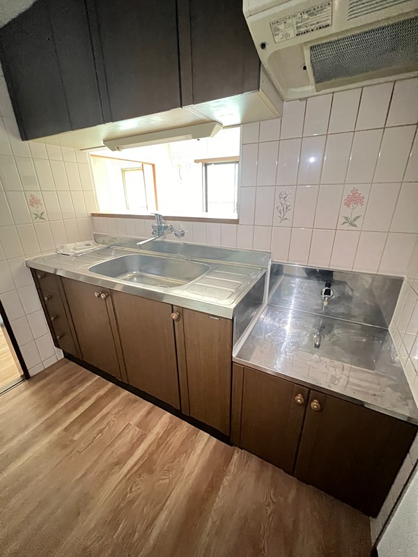 ドルフソニアドーロ   その他20