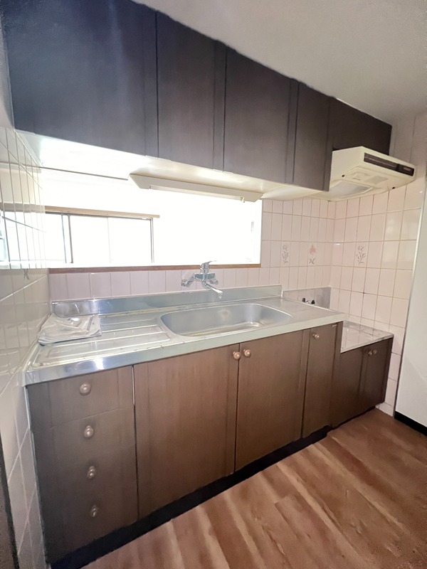 ドルフソニアドーロ   その他21