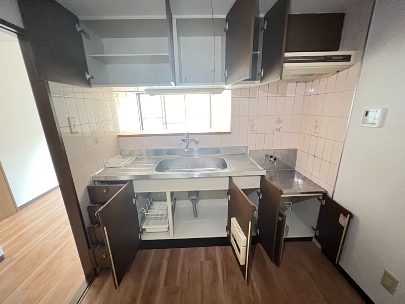 ドルフソニアドーロ   その他22