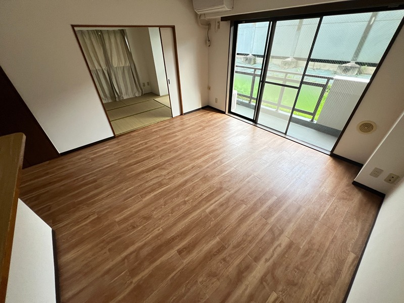 ドルフソニアドーロ   その他23