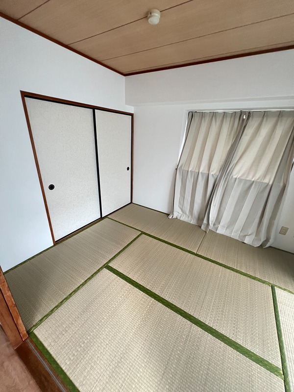 ドルフソニアドーロ   その他25