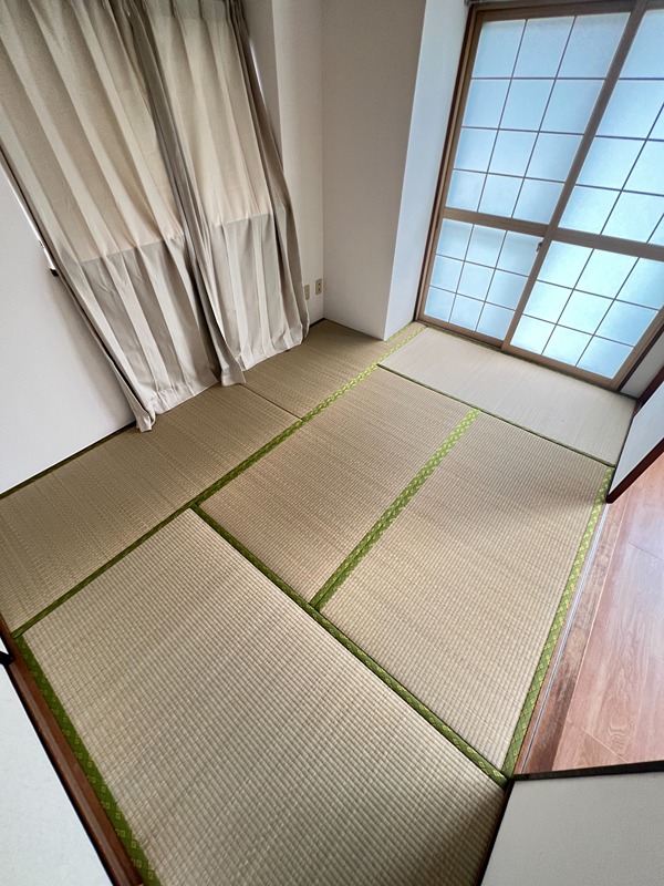 ドルフソニアドーロ   その他26