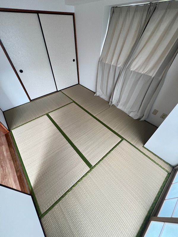 ドルフソニアドーロ   その他27