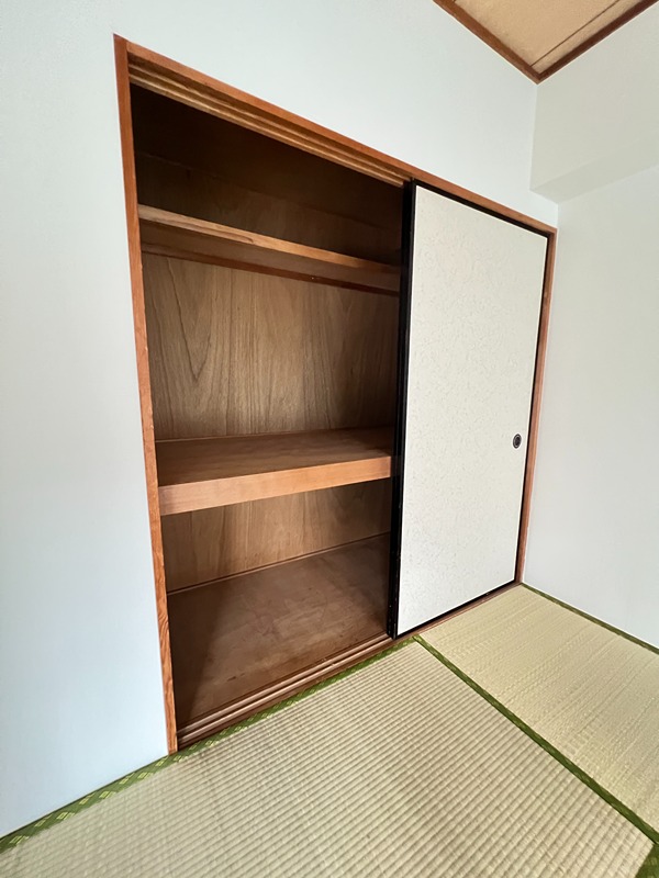 ドルフソニアドーロ   その他28