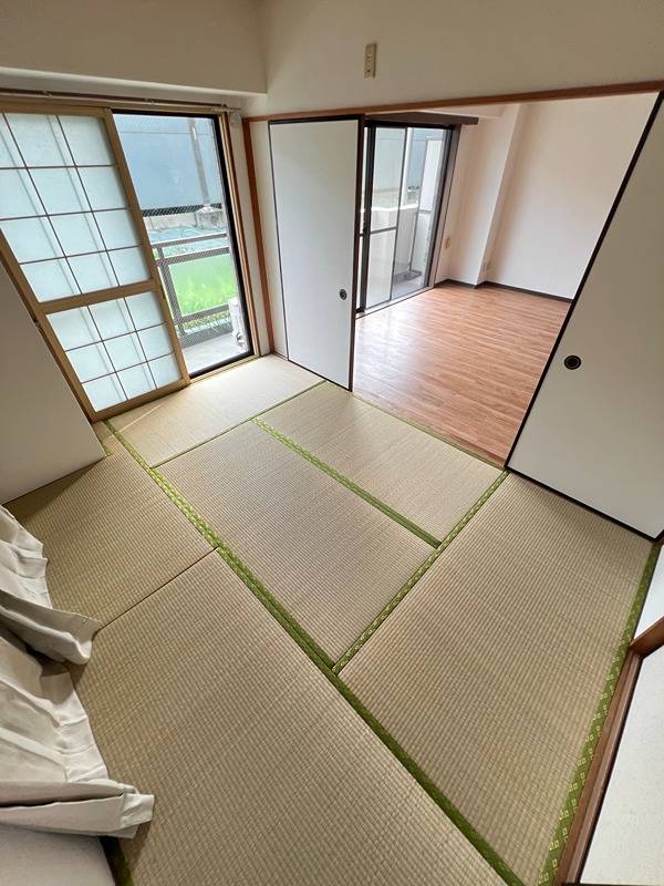 ドルフソニアドーロ   その他29