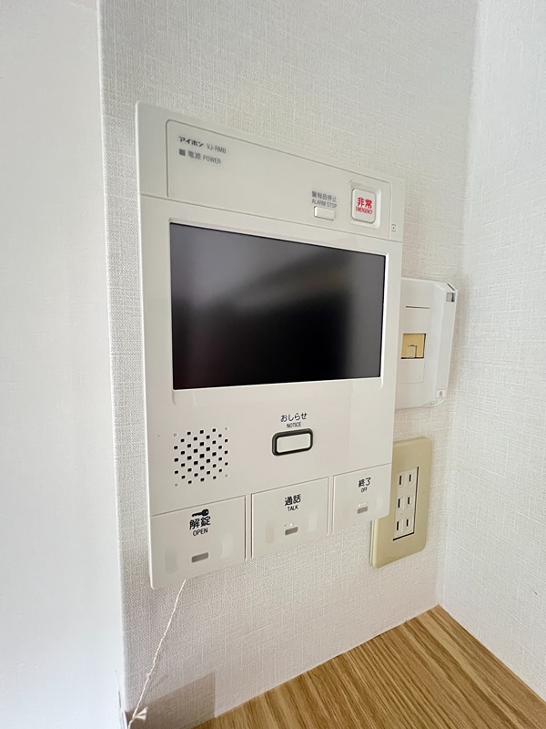 ドルフソニアドーロ   その他31