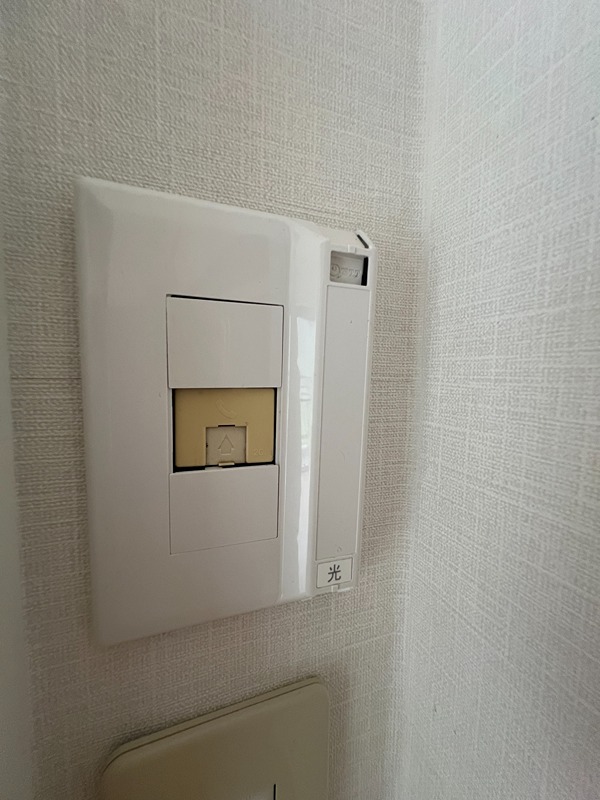 ドルフソニアドーロ   その他32