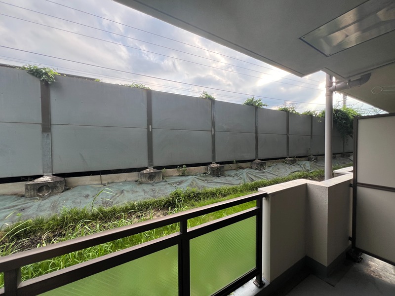 ドルフソニアドーロ   その他33