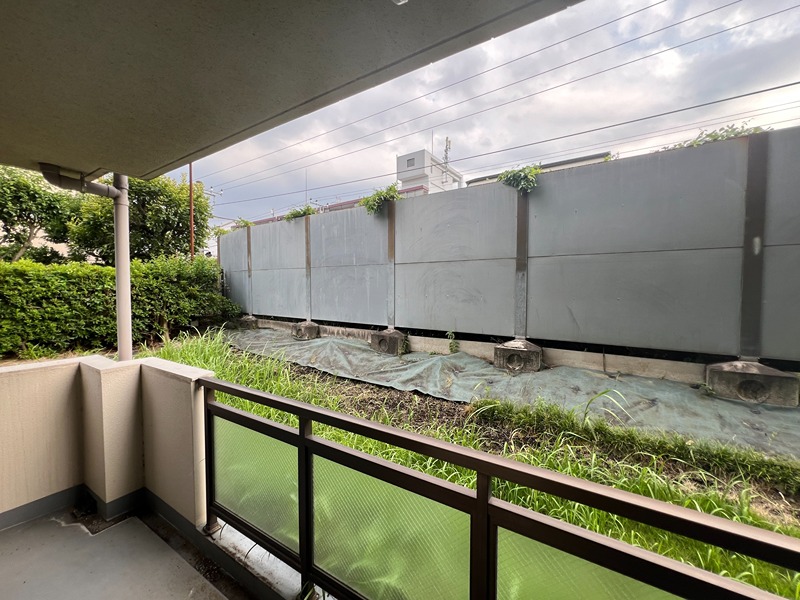 ドルフソニアドーロ   その他34