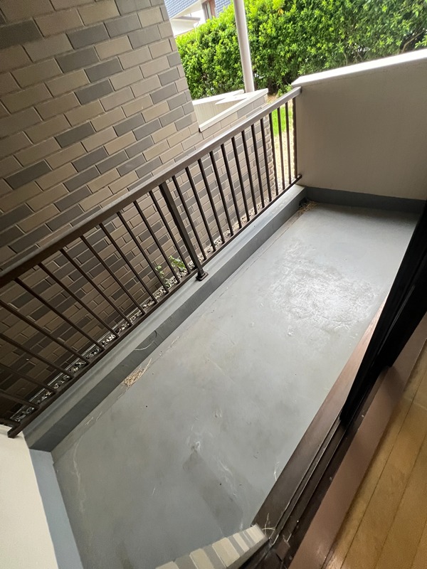 ドルフソニアドーロ   その他36