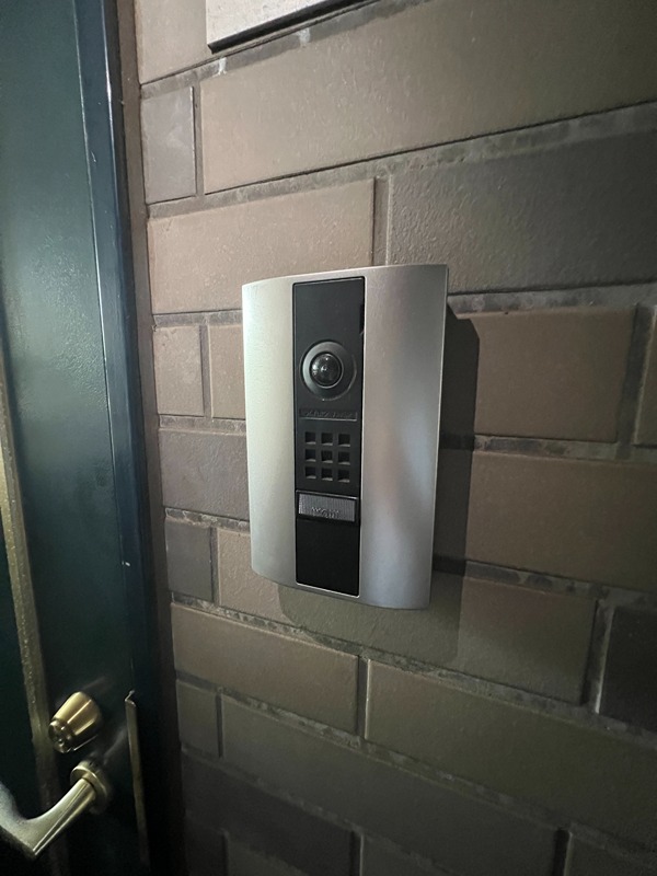 ドルフソニアドーロ   その他38