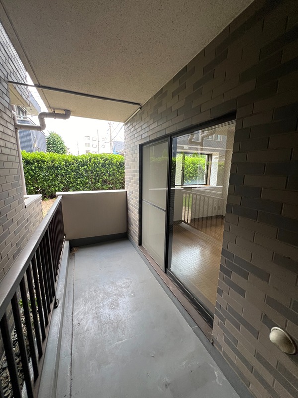 ドルフソニアドーロ   その他39