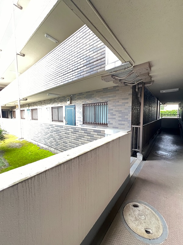 ドルフソニアドーロ   その他40