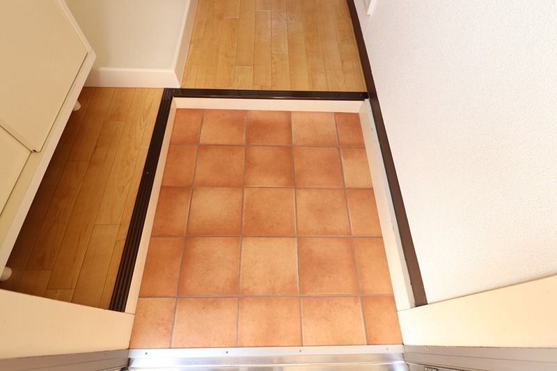 ツインパレスA  玄関