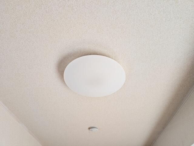 セレンディップ その他12