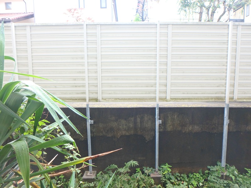 キンガハイツ橋本 その他5