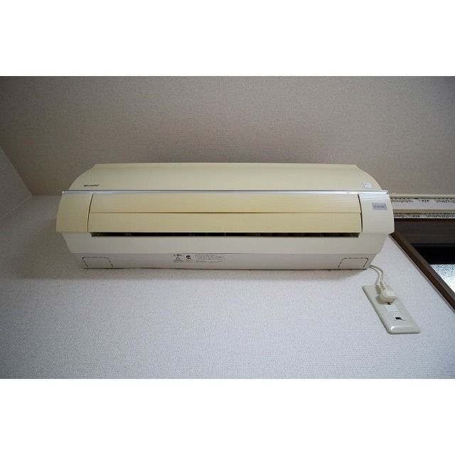 アムール 琴Ⅱ その他5