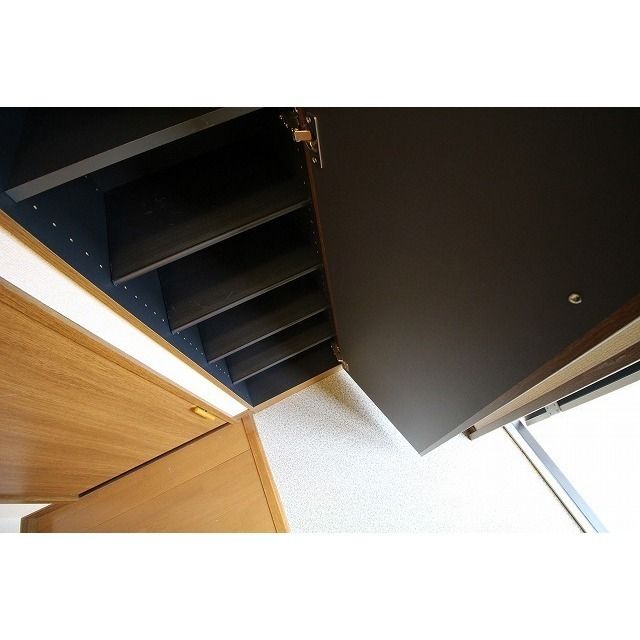 アムール 琴Ⅱ その他10