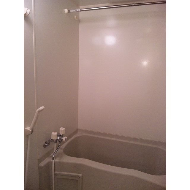 アムール 琴Ⅱ その他13