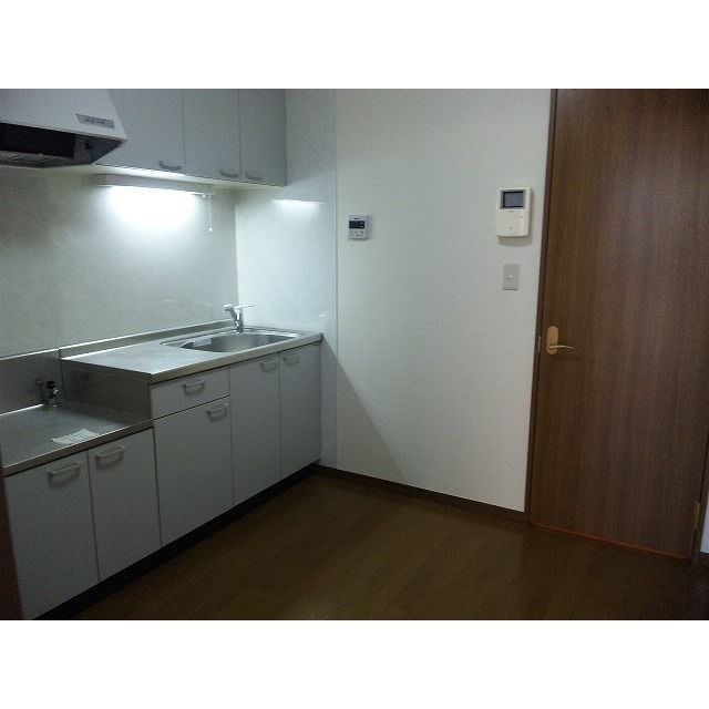 アムール 琴Ⅱ その他14