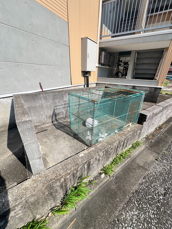 ベルデハシモト その他11