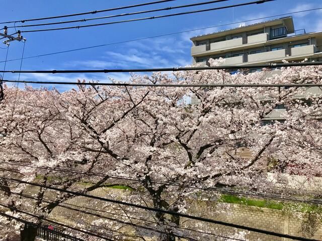 アーバンヒルズマンション多摩永山第二 その他8