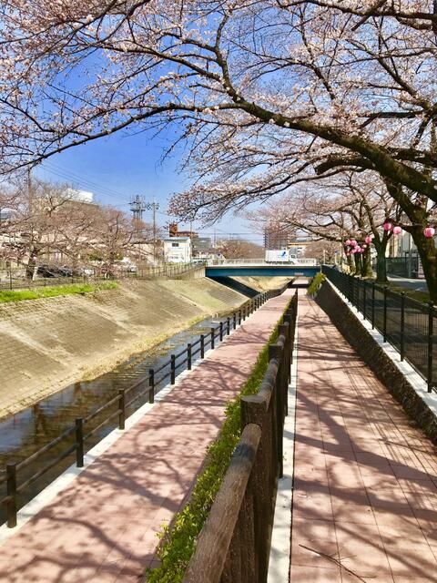 アーバンヒルズマンション多摩永山第二 その他9