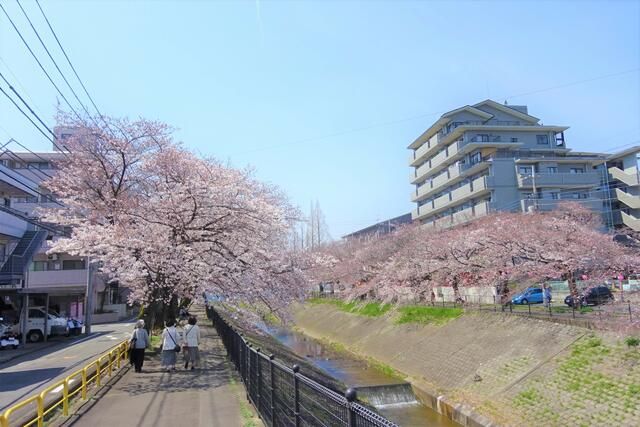 アーバンヒルズマンション多摩永山第二 その他10