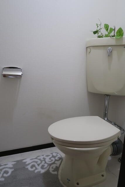 サニーハイツ城山 その他2