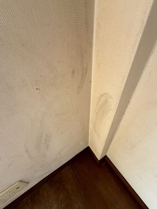 コーポ内坪 その他4