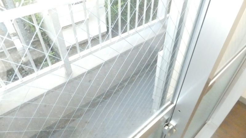 エーリフローレンスB ベランダ