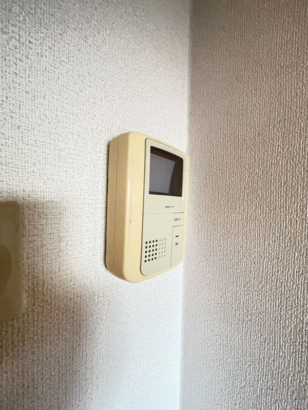 ルピナス7 その他5