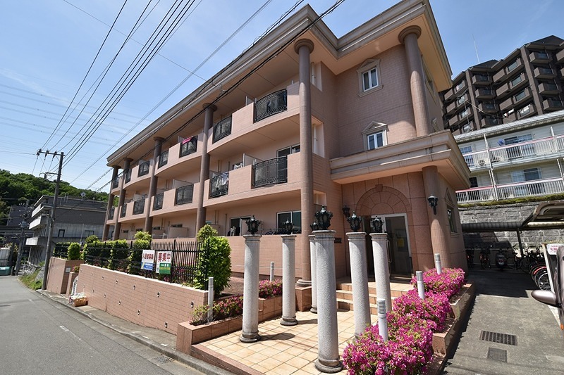 ルピナス7 その他8