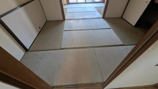 フローラルカネコ その他8