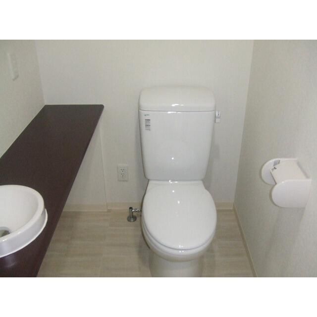 エリーゼ その他2