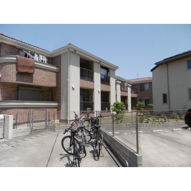 フレイル その他8