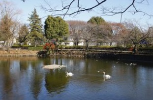 ハリコット鹿沼公園 周辺画像4