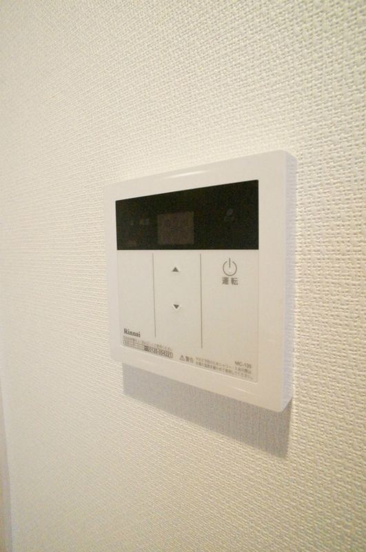 リブリ・リティンデー その他10