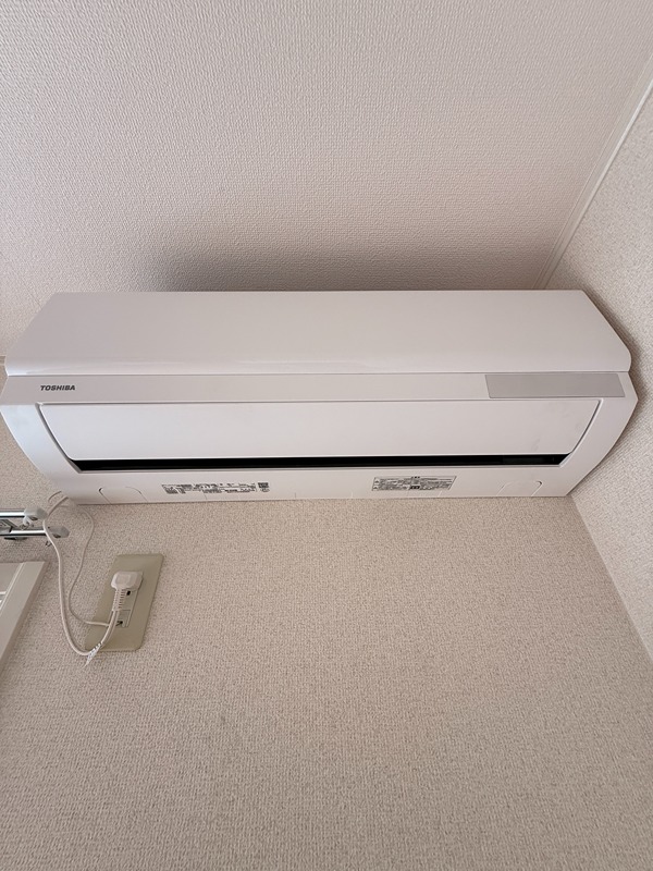 グレイスランド その他8