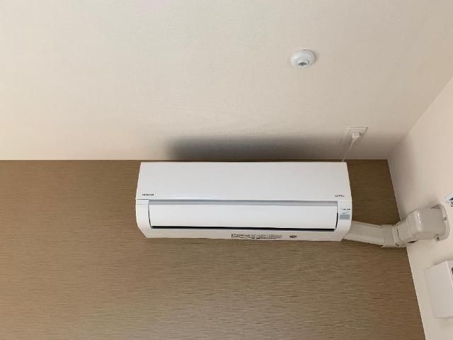 レイ その他5