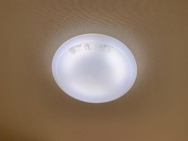 レイ その他14
