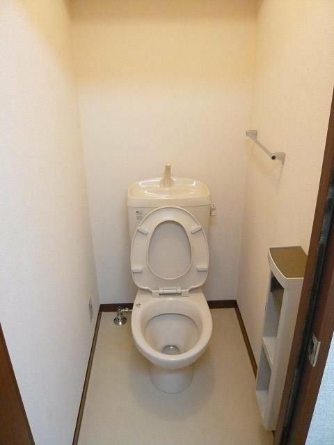 ハイビスカス その他2